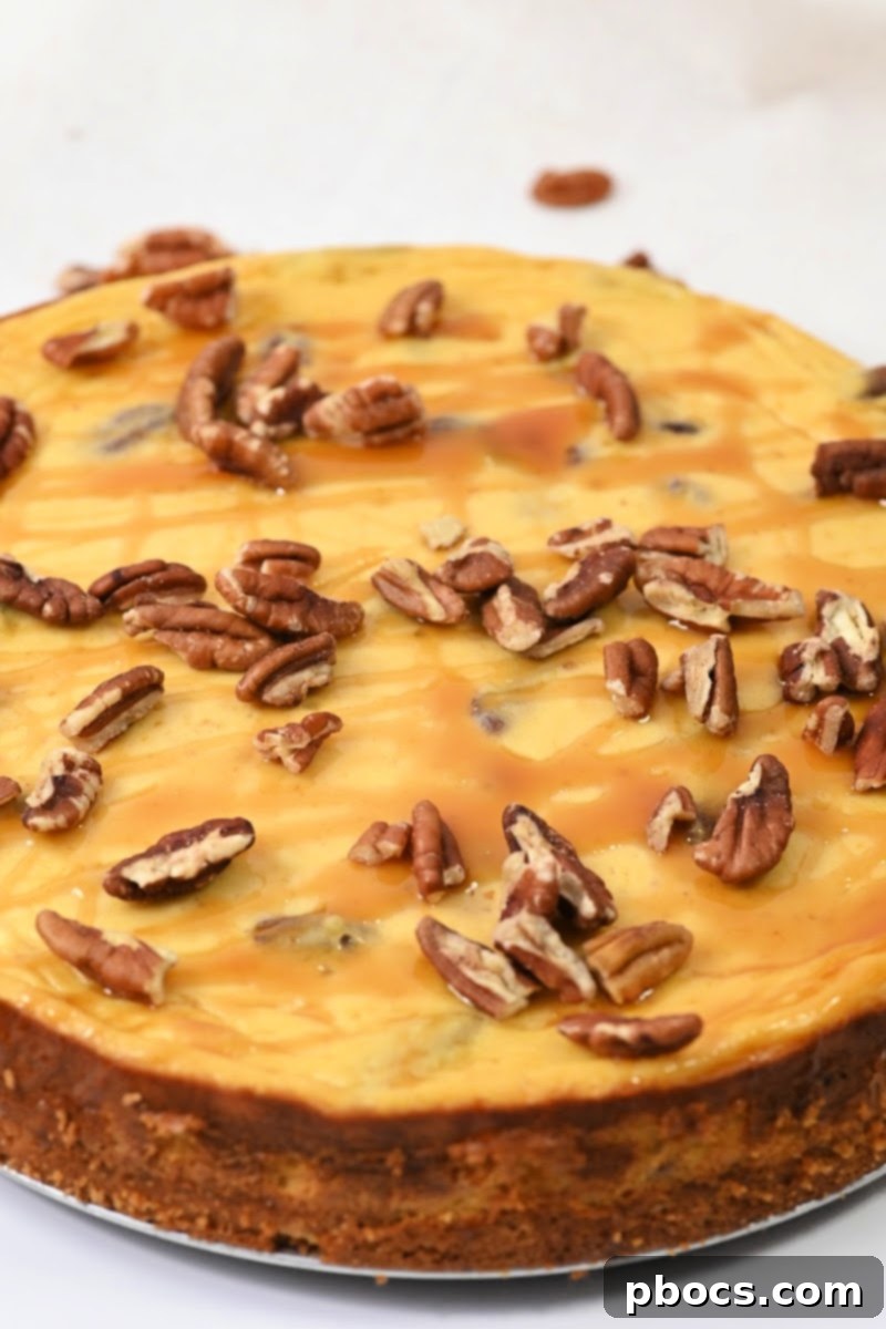 Low-Carb Pumpkin Pecan Cheesecake