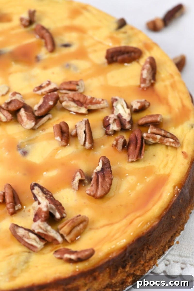 Low-Carb Pumpkin Pecan Cheesecake