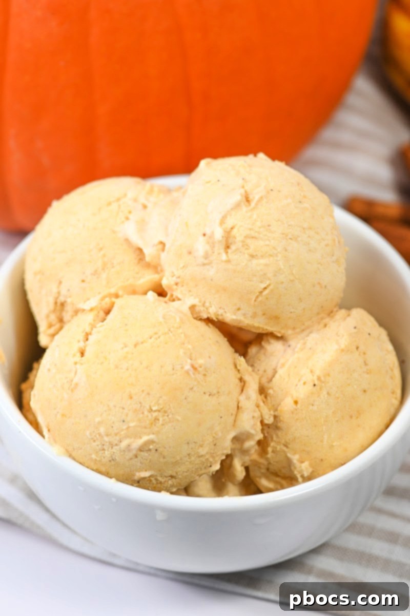 Guilt-Free Pumpkin Spice Ice Cream 2 Delicious No-Churn Keto Pumpkin Ice Cream