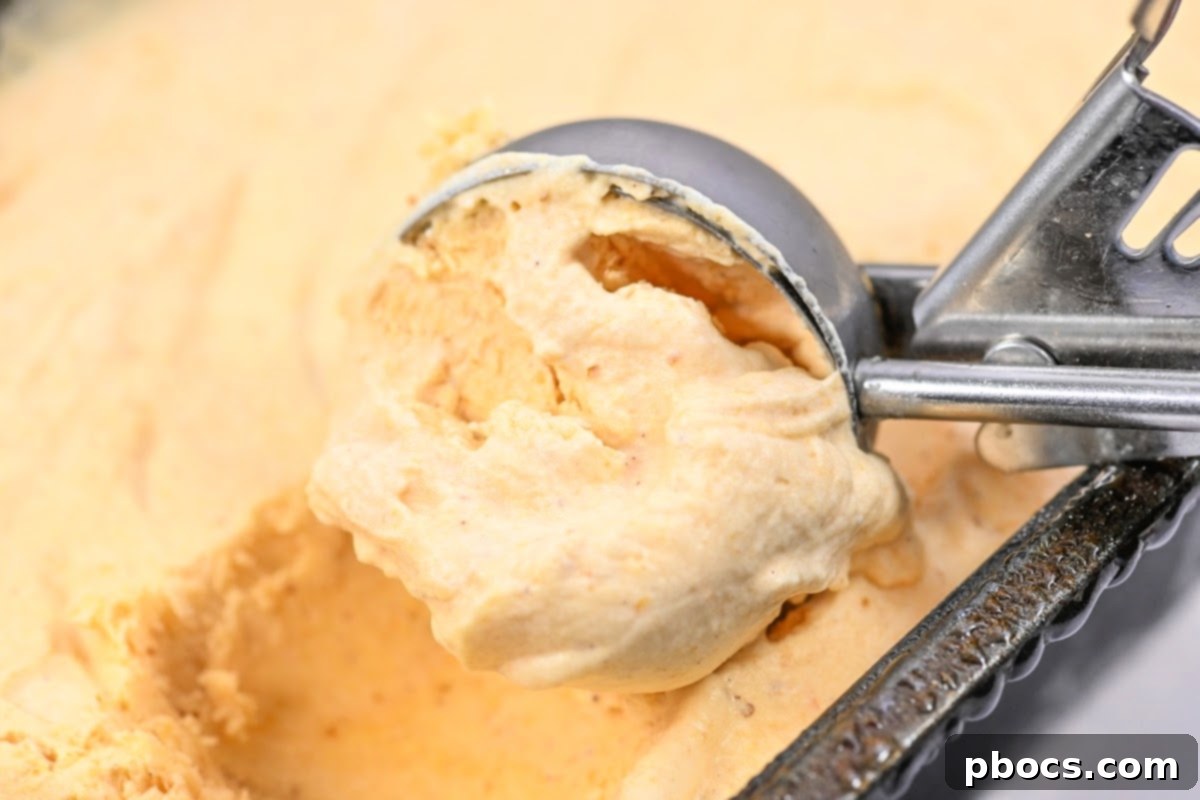 Guilt-Free Pumpkin Spice Ice Cream 3 Keto Pumpkin Ice Cream in a bowl, ready to serve