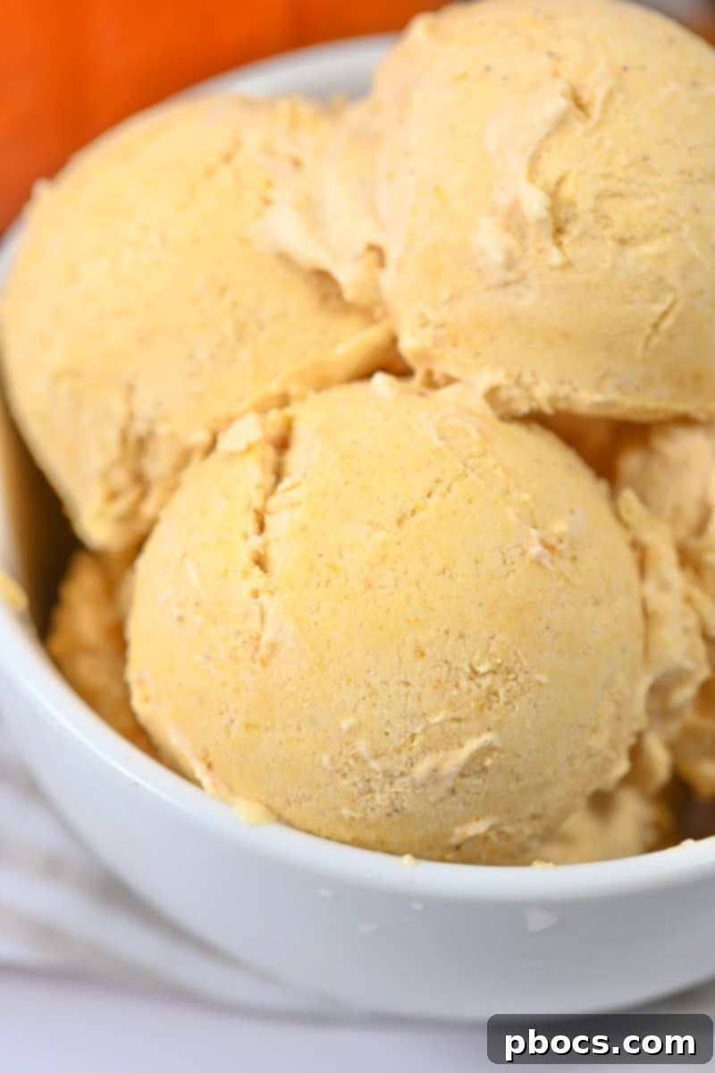 Guilt-Free Pumpkin Spice Ice Cream 4 Homemade Keto Pumpkin Ice Cream in a bowl with spices