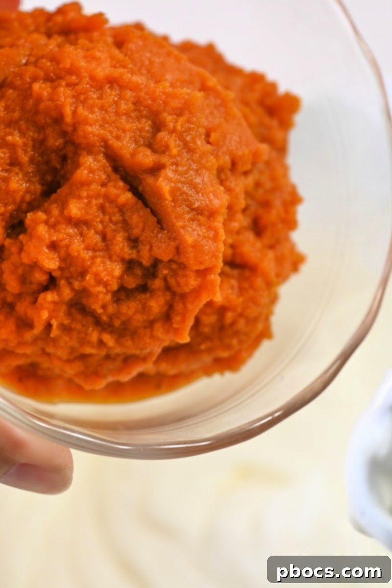 Guilt-Free Pumpkin Spice Ice Cream 10 Pure Pumpkin Puree in a bowl