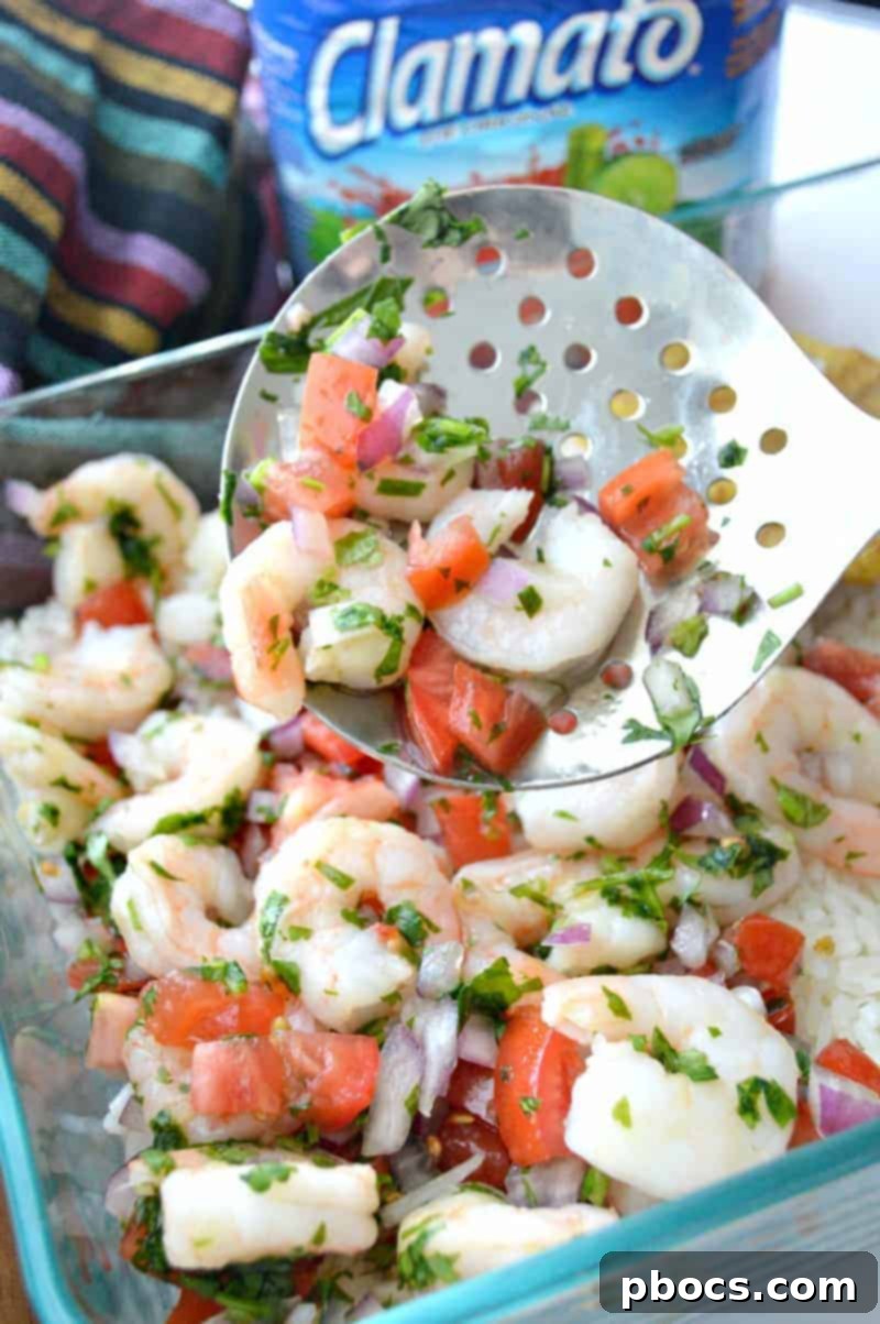 Layering rice and shrimp ceviche in a lasagna pan