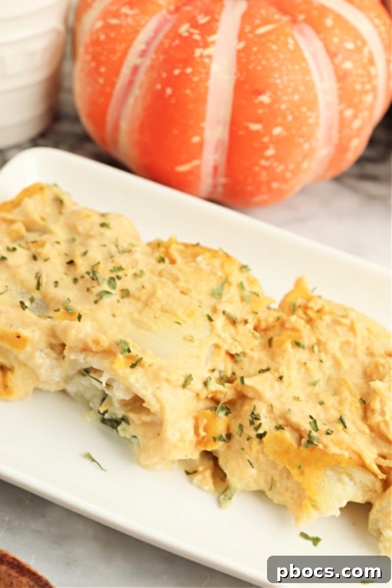 Creamy Keto Pumpkin Lasagna Spirals 5 Raw Keto Pumpkin Lasagna Roll Ups in a baking dish