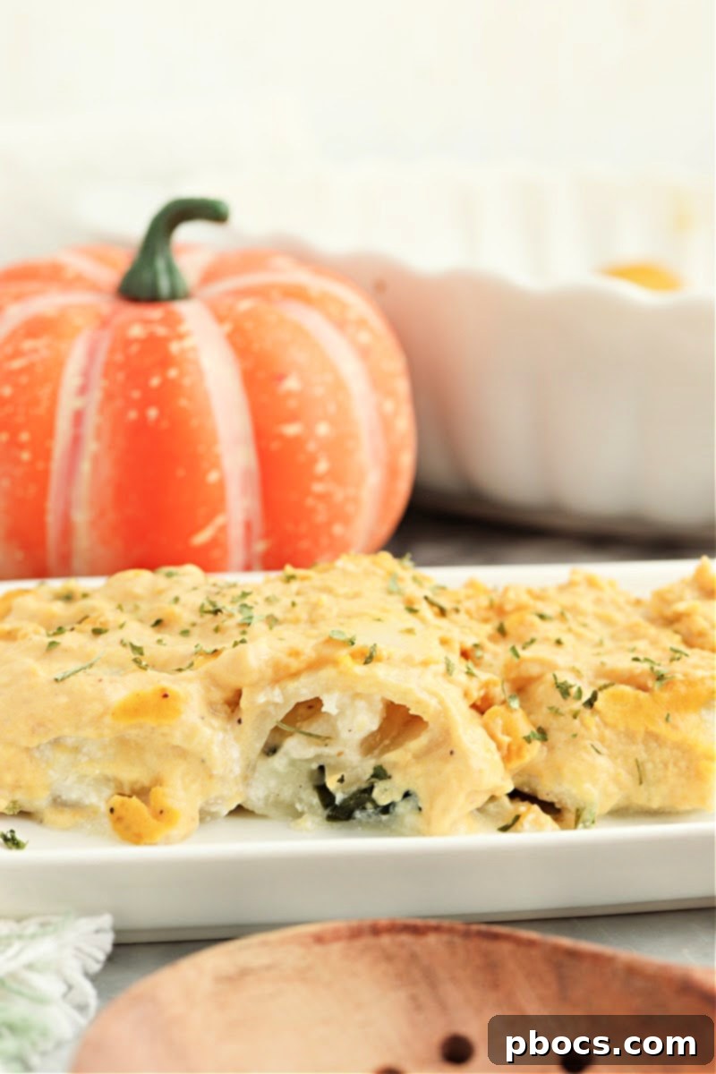 Creamy Keto Pumpkin Lasagna Spirals 6 Keto Pumpkin Lasagna Roll Ups with a side salad