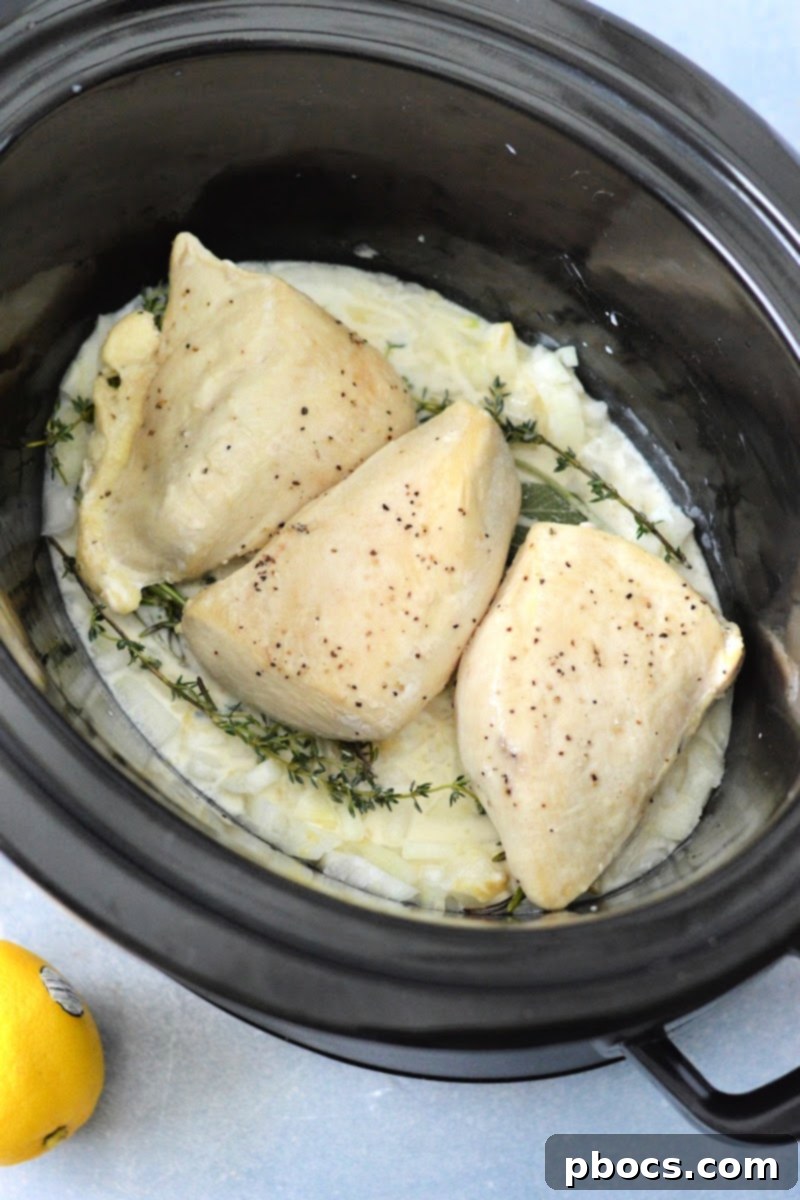 Slow Cooker Keto Chicken Braised in Wine and Herbs 2 Keto Slow Cooker Wine and Herb Chicken