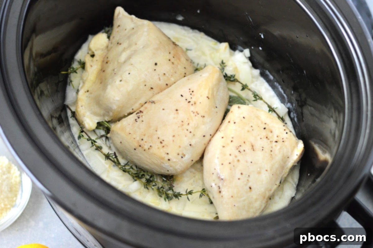 Slow Cooker Keto Chicken Braised in Wine and Herbs 12 Keto Slow Cooker Wine and Herb Chicken