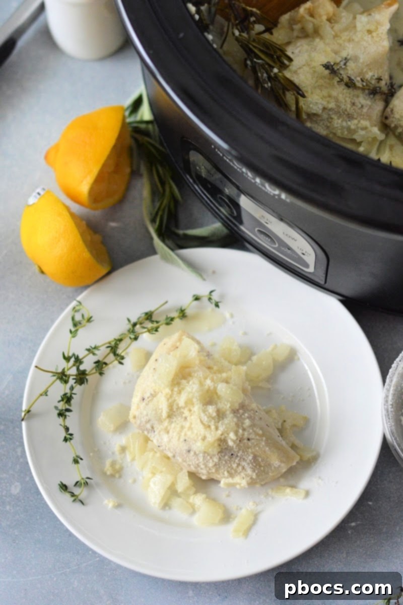 Slow Cooker Keto Chicken Braised in Wine and Herbs 7 Keto Slow Cooker Wine and Herb Chicken