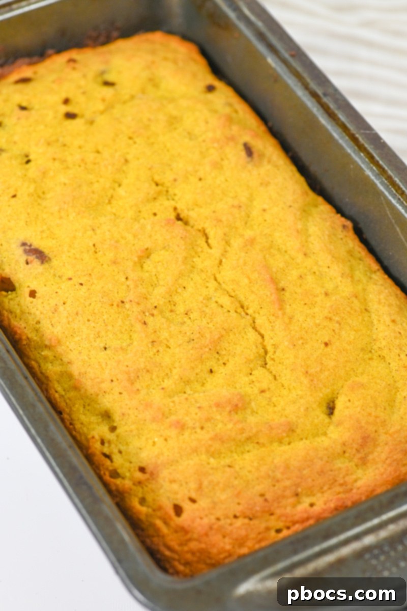 Keto Pumpkin Pecan Gingerbread Loaf - Baking to Golden Perfection