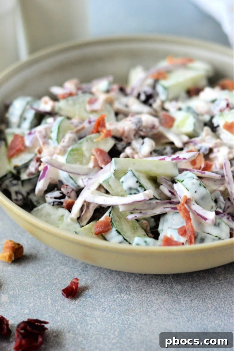 Keto Creamy Cucumber Salad With Cranberries - The Perfect Blend