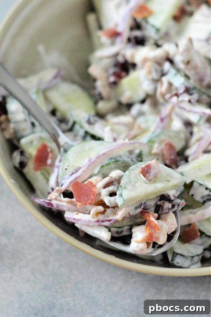 Keto Creamy Cucumber Salad With Cranberries - Ready to Serve