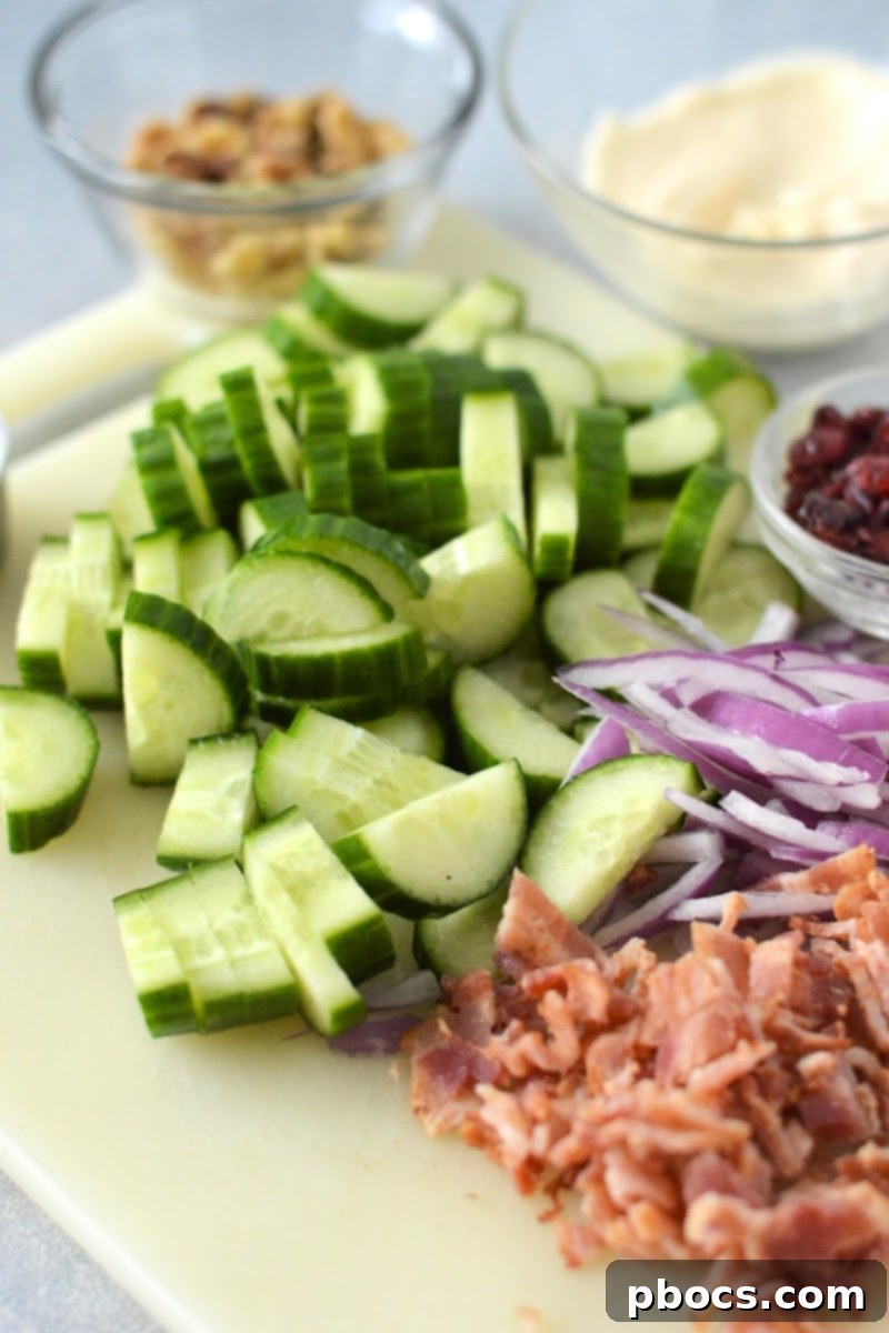 Keto Creamy Cucumber Salad With Cranberries - All Ingredients Laid Out
