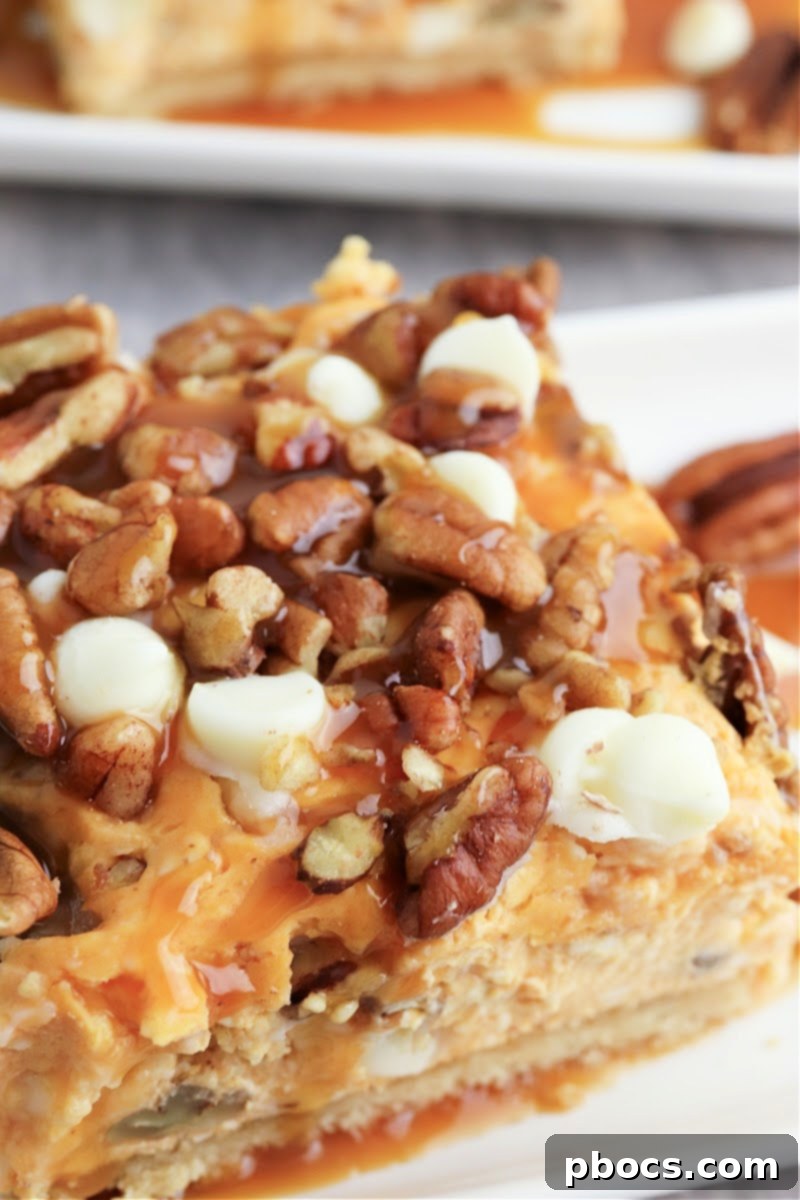 Low-Carb Turtle Pumpkin Cheesecake Bars - Close up on texture