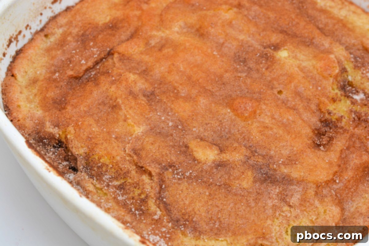 Close-up shot of baked Keto Snickerdoodle Bars, showcasing the cinnamon sugar topping.