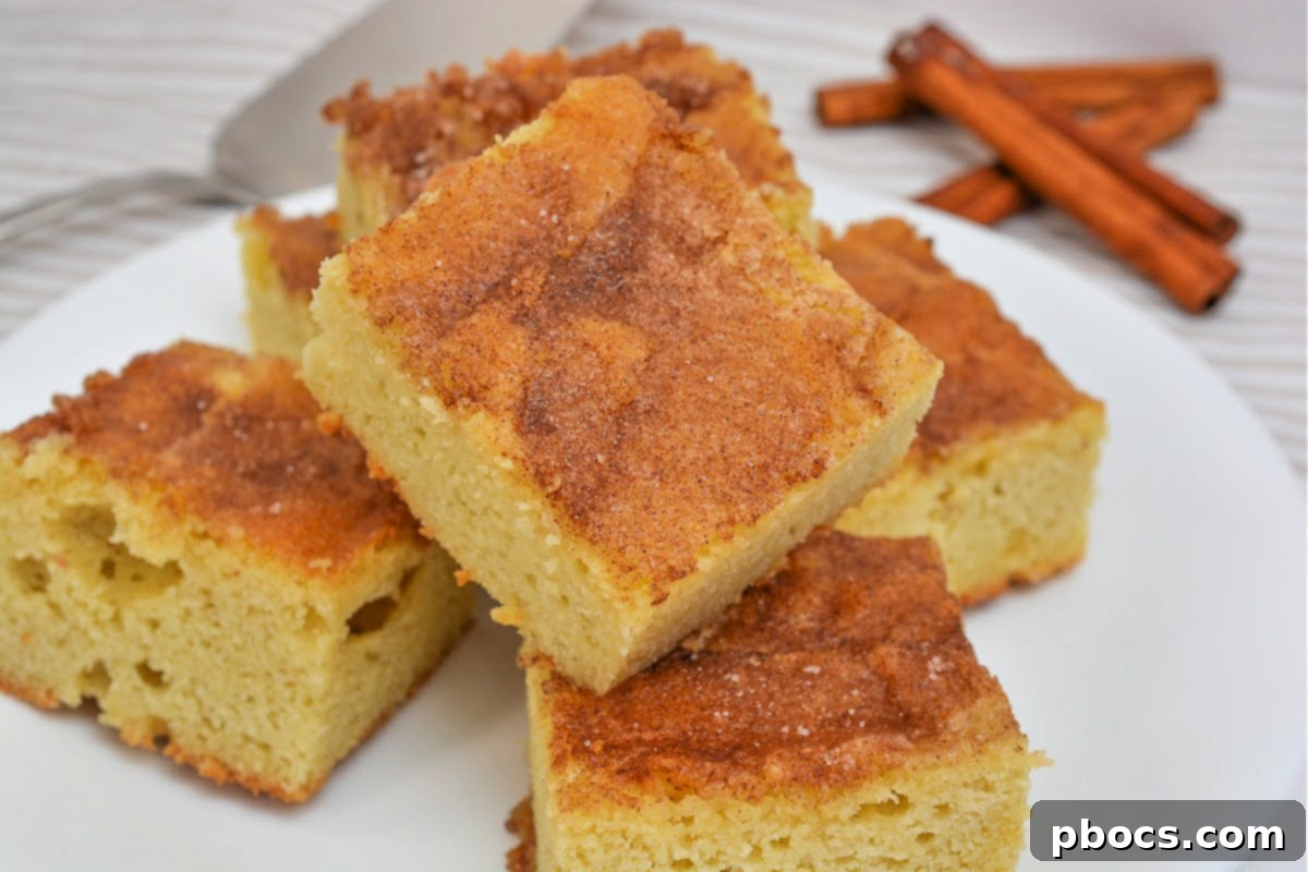 More perfectly baked Keto Snickerdoodle Bars, showcasing their texture.