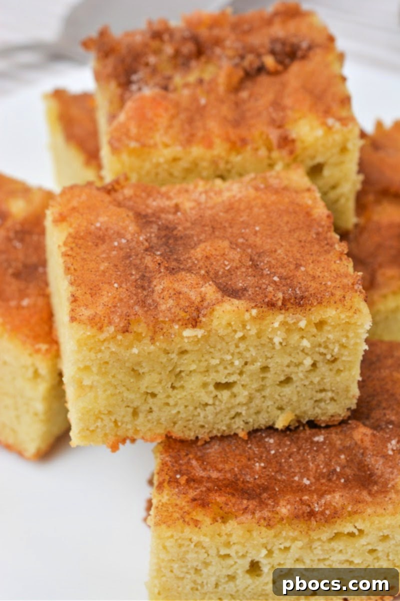 A plate of freshly baked Keto Snickerdoodle Bars, ready for serving.