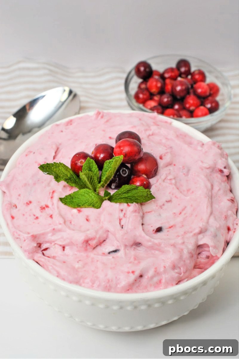 Final plated Low Carb Cranberry Fluff dessert