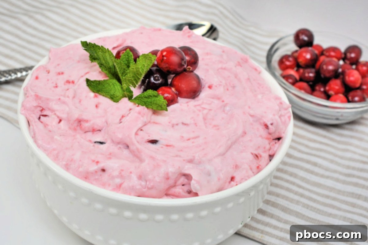 Close-up of fluffy cranberry dessert texture