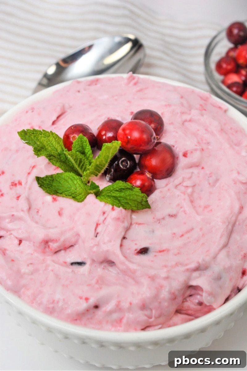 Bowl of Low Carb Cranberry Fluff with fresh cranberries