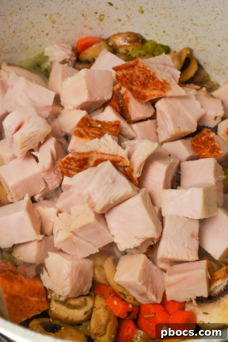 Adding turkey to the soup
