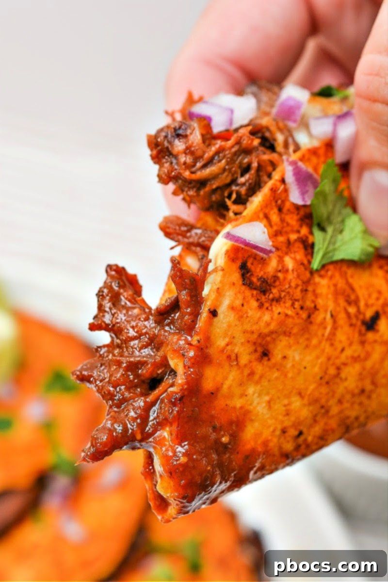 Savory Keto Birria Beef Tacos 22 Crispy Keto Beef Birria Tacos Ready to Serve