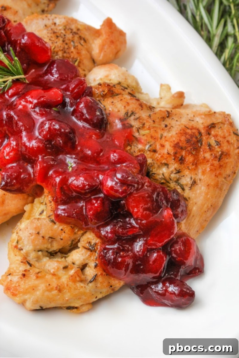 Holiday Keto Chicken Sweet and Savory Feast 2 Low-Carb Sweet and Savory Christmas Chicken