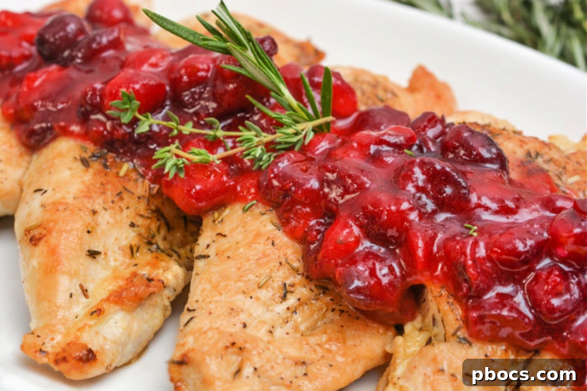 Holiday Keto Chicken Sweet and Savory Feast 3 Low-Carb Sweet and Savory Christmas Chicken - Skillet Cooking