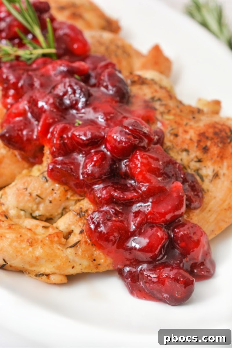 Holiday Keto Chicken Sweet and Savory Feast 5 Low-Carb Sweet and Savory Christmas Chicken with Cranberry Topping