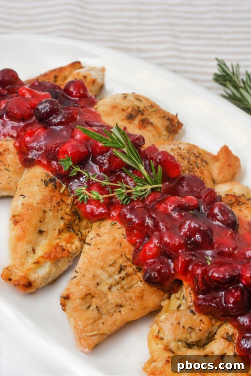 Holiday Keto Chicken Sweet and Savory Feast 6 Low-Carb Sweet and Savory Christmas Chicken Table Setting