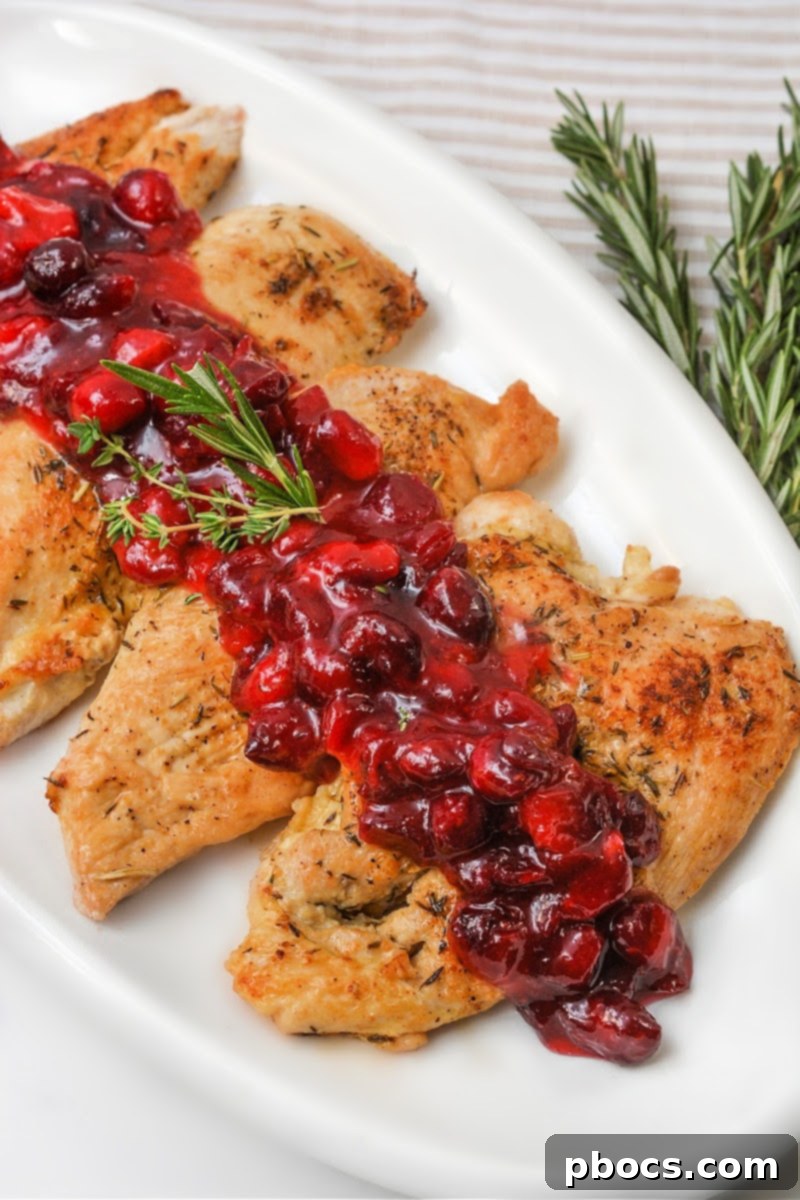 Holiday Keto Chicken Sweet and Savory Feast 7 Low-Carb Sweet and Savory Christmas Chicken in Container