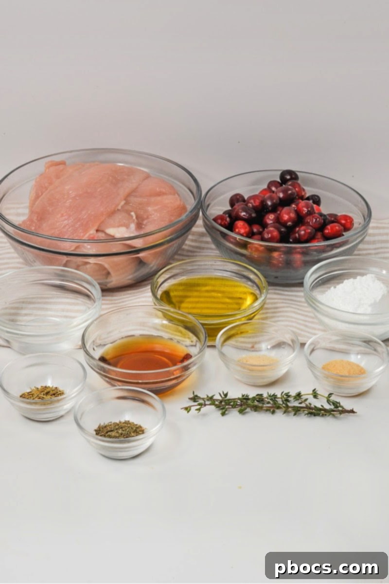 Holiday Keto Chicken Sweet and Savory Feast 8 Low-Carb Sweet and Savory Christmas Chicken Ingredients Display