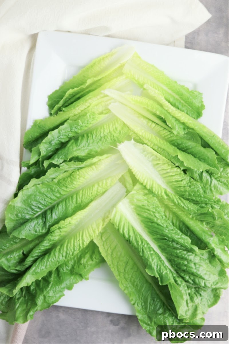 Arranging romaine lettuce to look like a tree