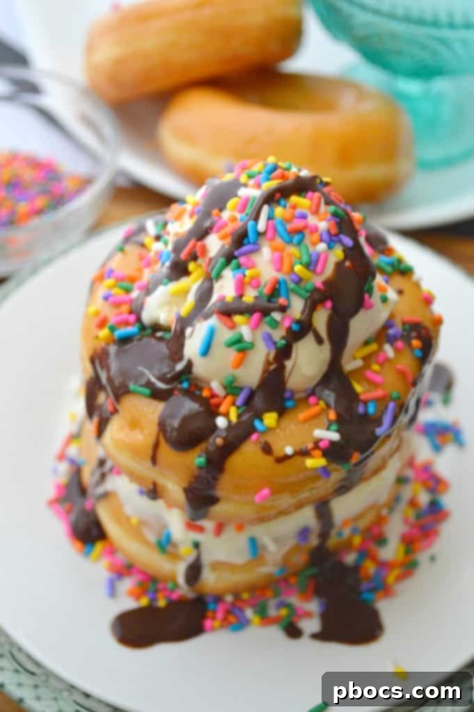 Easy To Make Donut Ice Cream Cake - A Delicious Summer Dessert