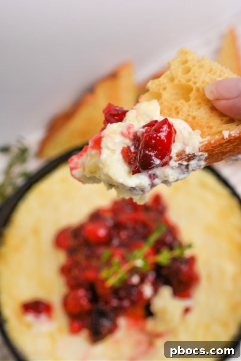 Rich and creamy Keto Cranberry White Cheddar Dip, perfect for holiday gatherings