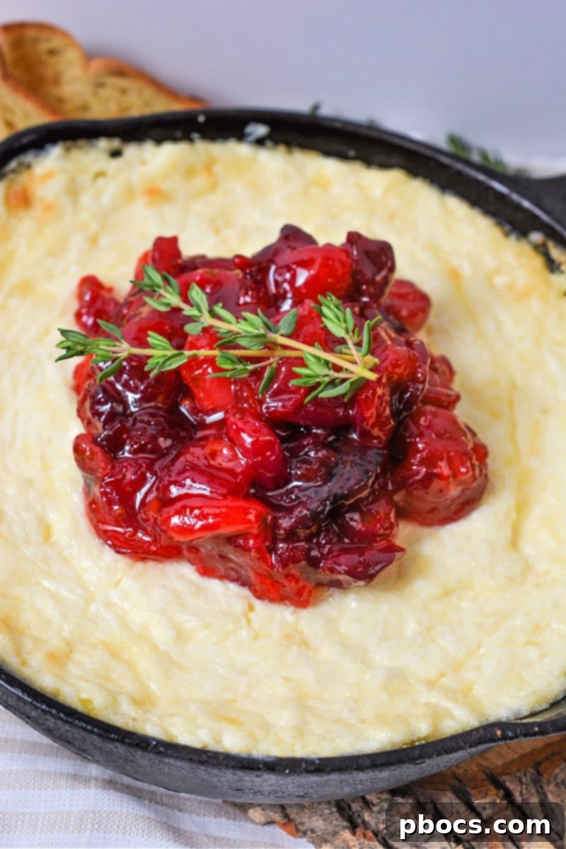 Creamy White Cheddar Dip base with cranberries, ready to be baked for a keto appetizer