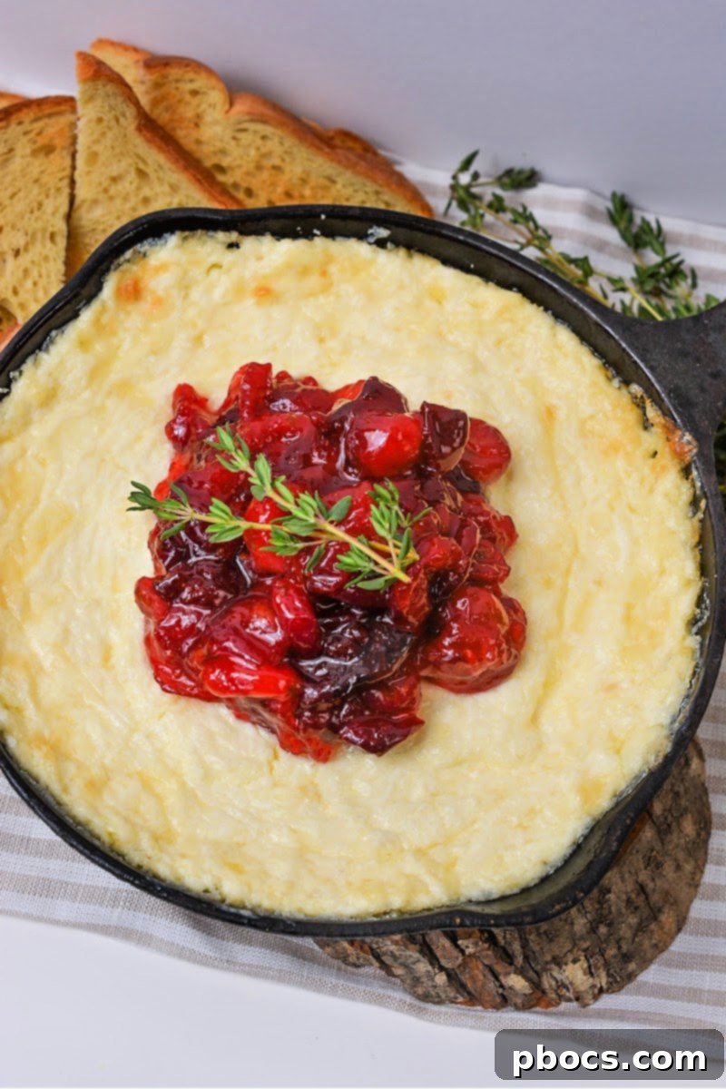 Keto Cranberry White Cheddar Dip, perfectly baked and ready for serving