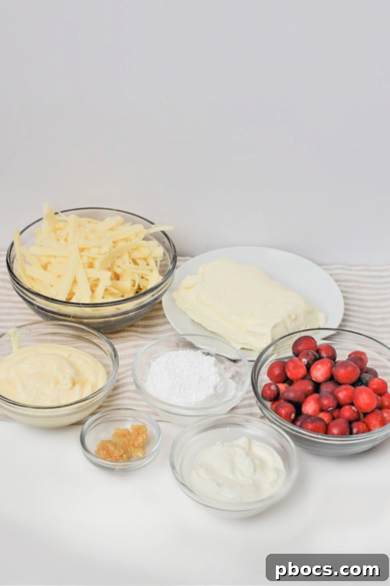Ingredients for Keto Cranberry White Cheddar Dip laid out