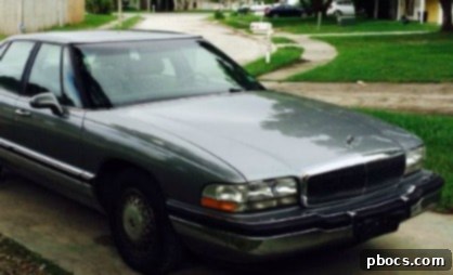 The Year of New Horizons 2 A Year Of Many Firsts