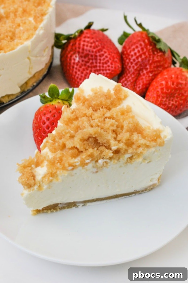 Delicious Low-Carb Plain Cheesecake with Crumb Topping, a keto-friendly dessert