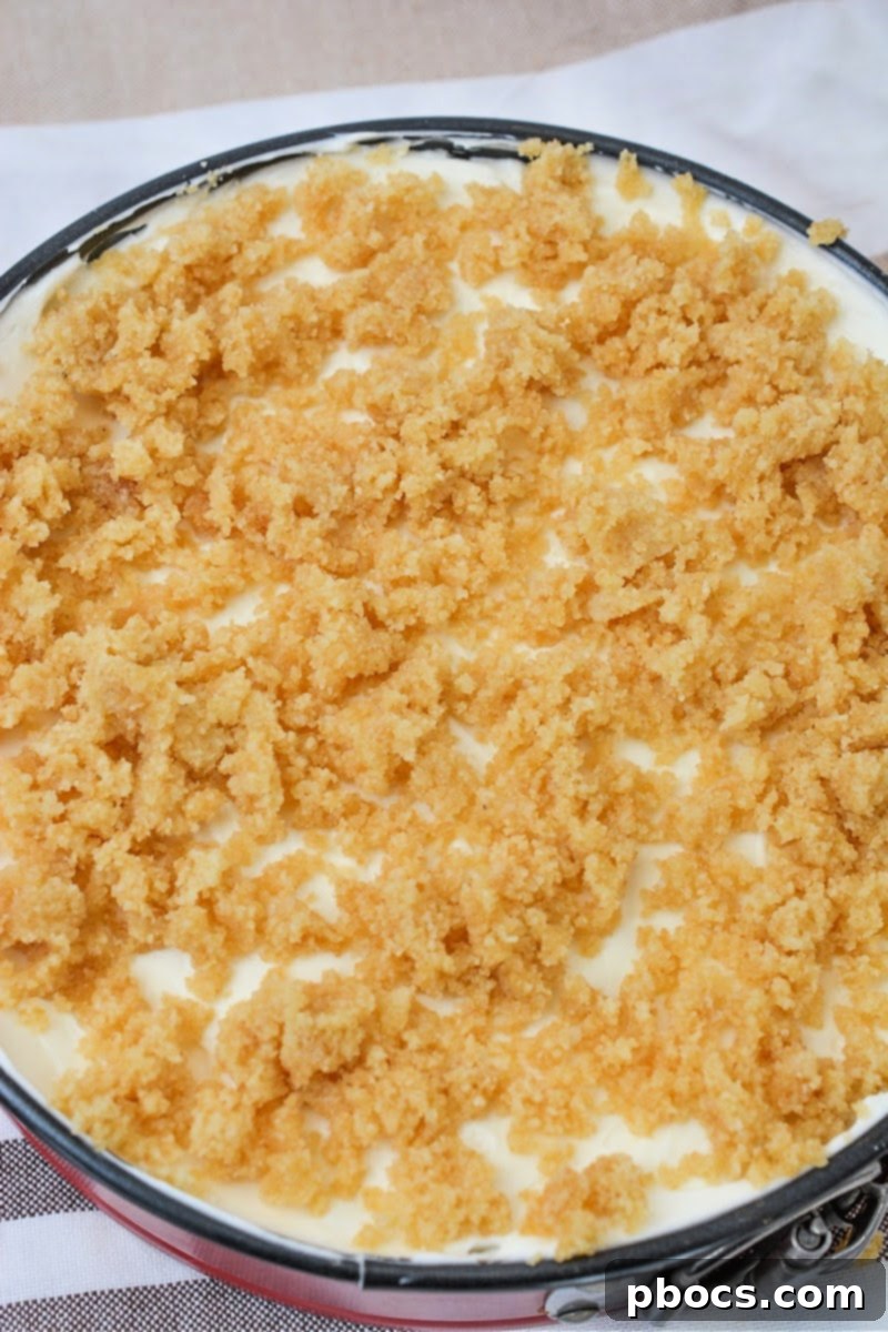 Low-Carb Plain Cheesecake with crumb topping sprinkled evenly over the top, ready for chilling