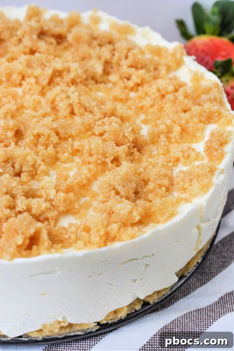 Close-up shot of a slice of Low-Carb Plain Cheesecake showing the creamy filling and crumb topping