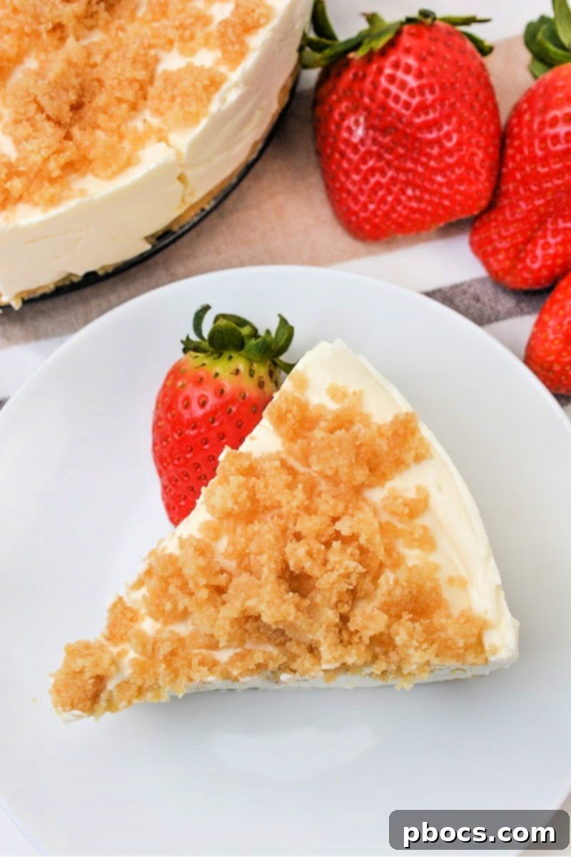 A whole Low-Carb Plain Cheesecake in a springform pan, showing the crust and filling before topping