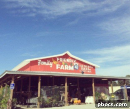 Fresh Produce from Our Family Farm 2 Farm Fresh Fruits & Veggies at The Family Farm