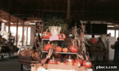 Fresh Produce from Our Family Farm 4 Farm Fresh Fruits & Veggies at The Family Farm