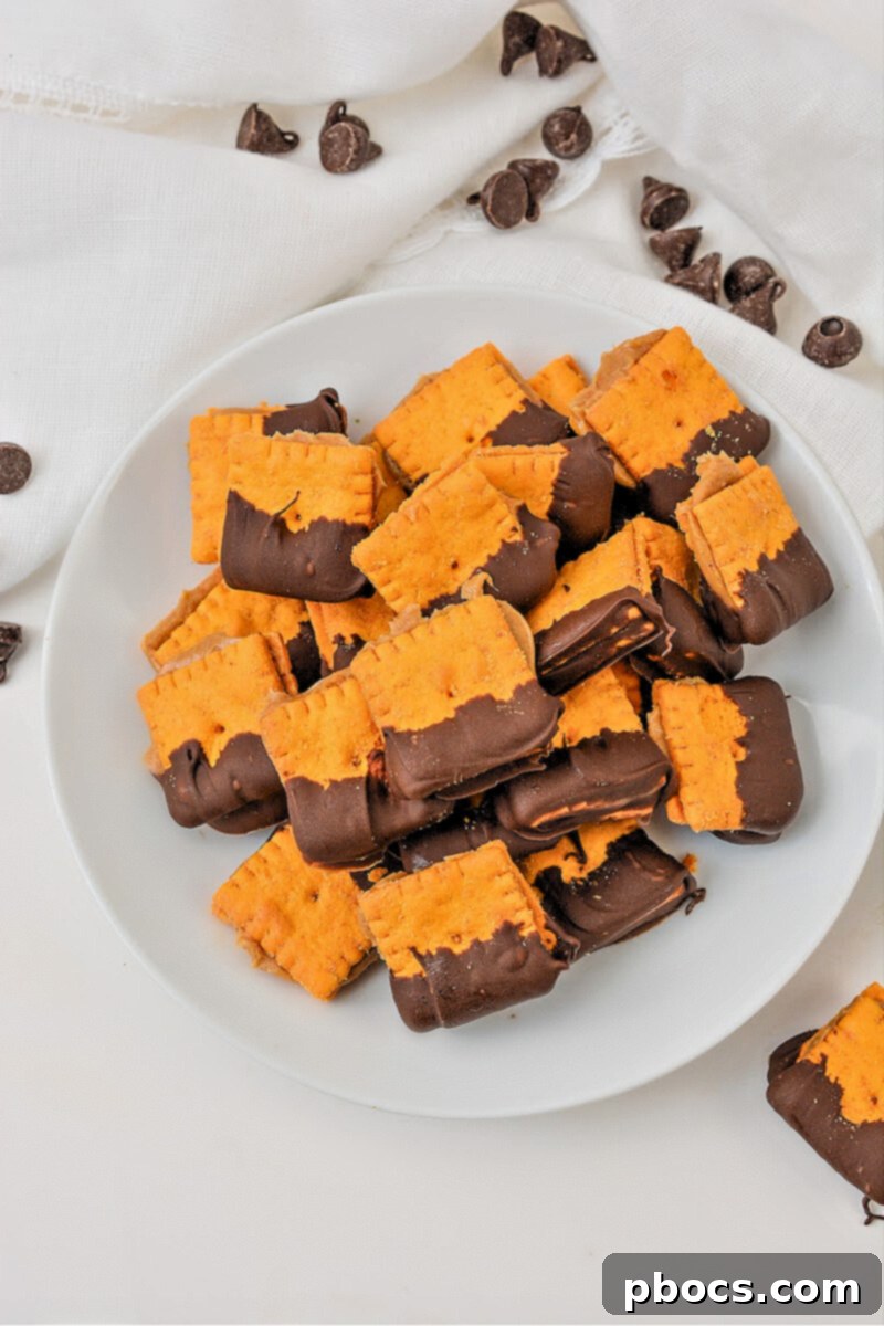 Keto Peanut Butter Chocolate Cheese Bites 2 Keto Cheez It Peanut Butter and Chocolate Bites