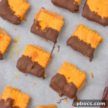Keto Peanut Butter Chocolate Cheese Bites 14 Keto Cheez It Peanut Butter and Chocolate Bites