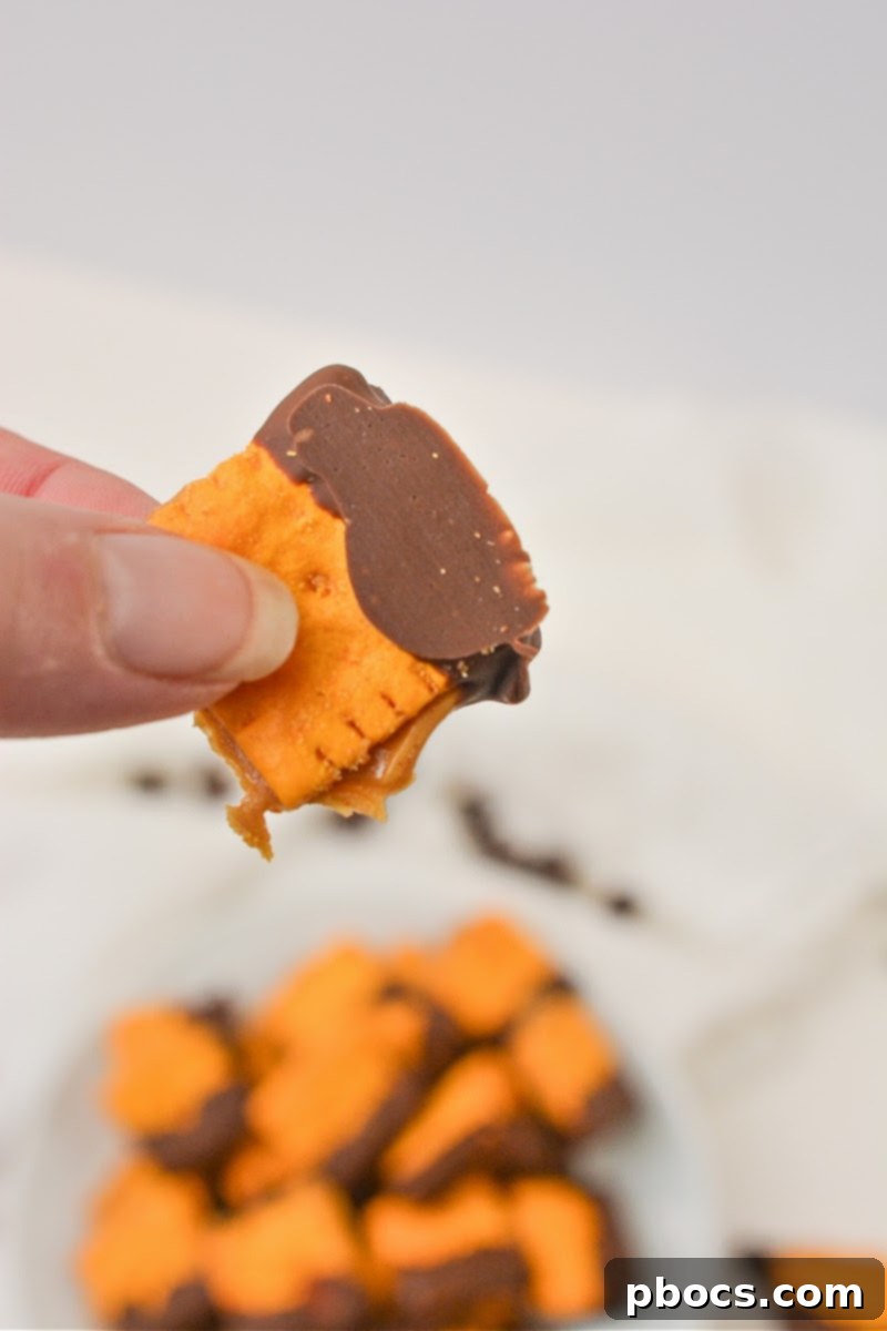Keto Peanut Butter Chocolate Cheese Bites 3 Keto Cheez It Peanut Butter and Chocolate Bites
