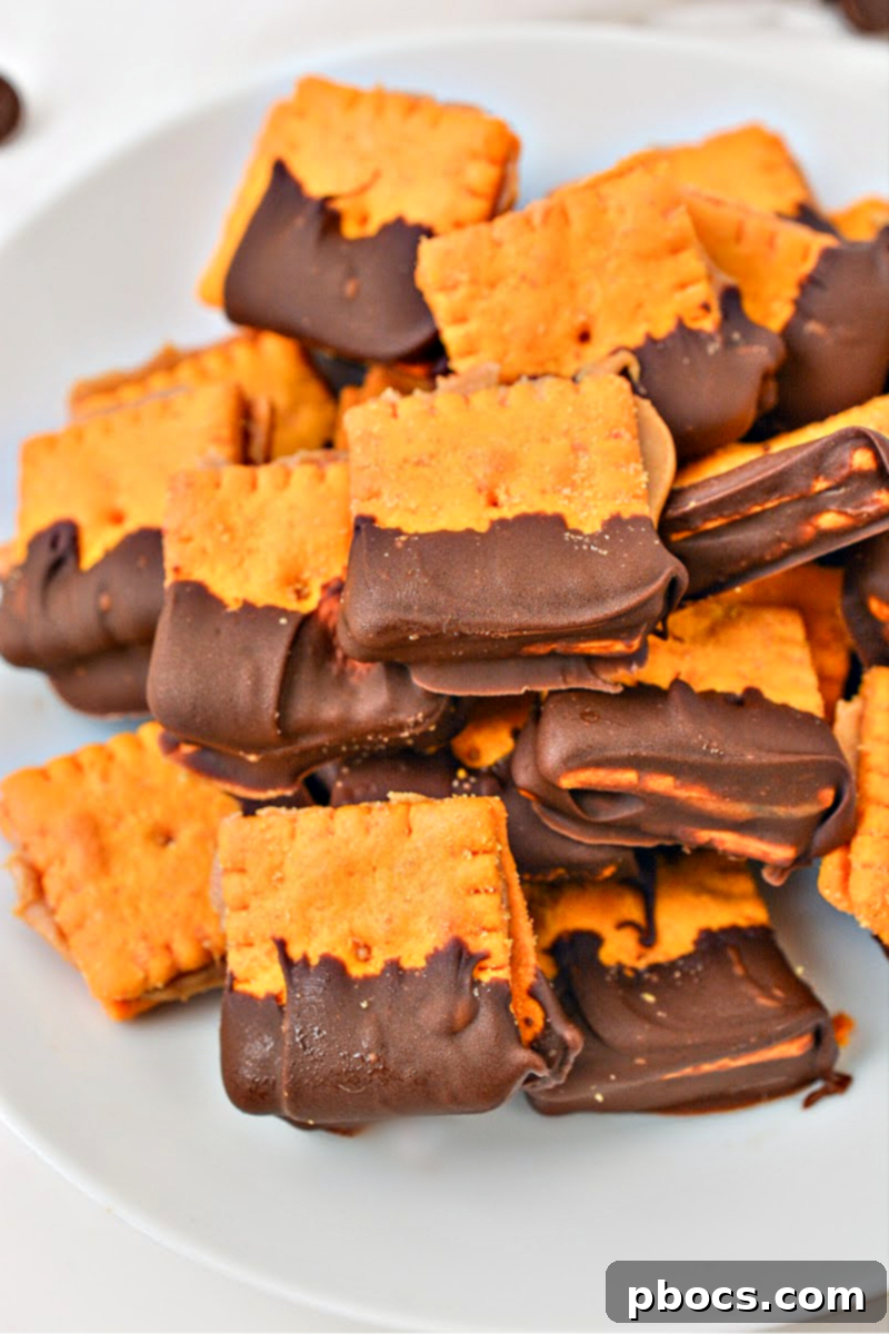 Keto Peanut Butter Chocolate Cheese Bites 4 Keto Cheez It Peanut Butter and Chocolate Bites