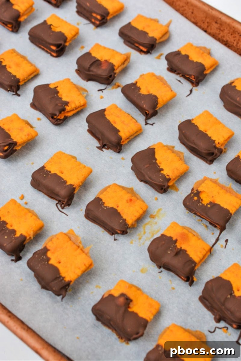Keto Peanut Butter Chocolate Cheese Bites 5 Keto Cheez It Peanut Butter and Chocolate Bites