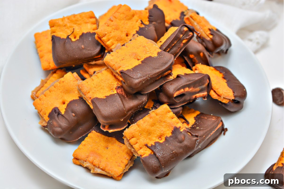 Keto Peanut Butter Chocolate Cheese Bites 6 Keto Cheez It Peanut Butter and Chocolate Bites